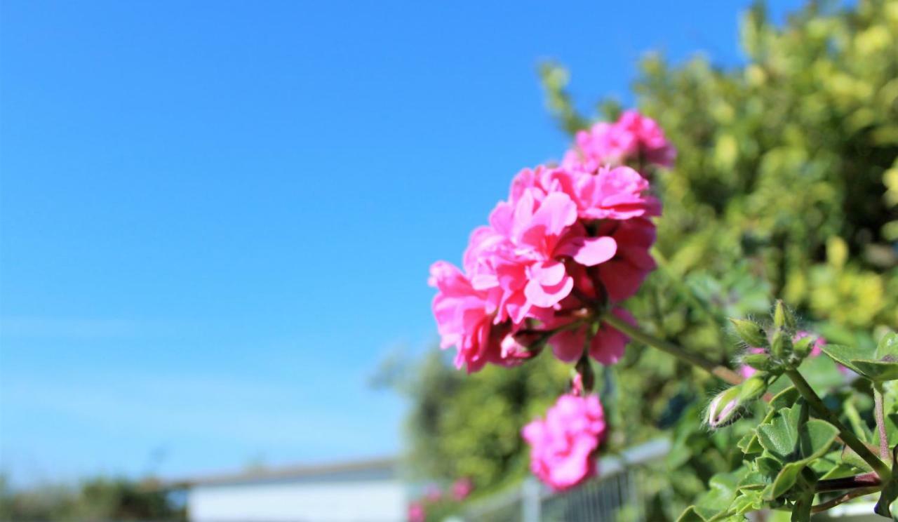 Sun Of Sicily Bed and Breakfast Νότο Εξωτερικό φωτογραφία